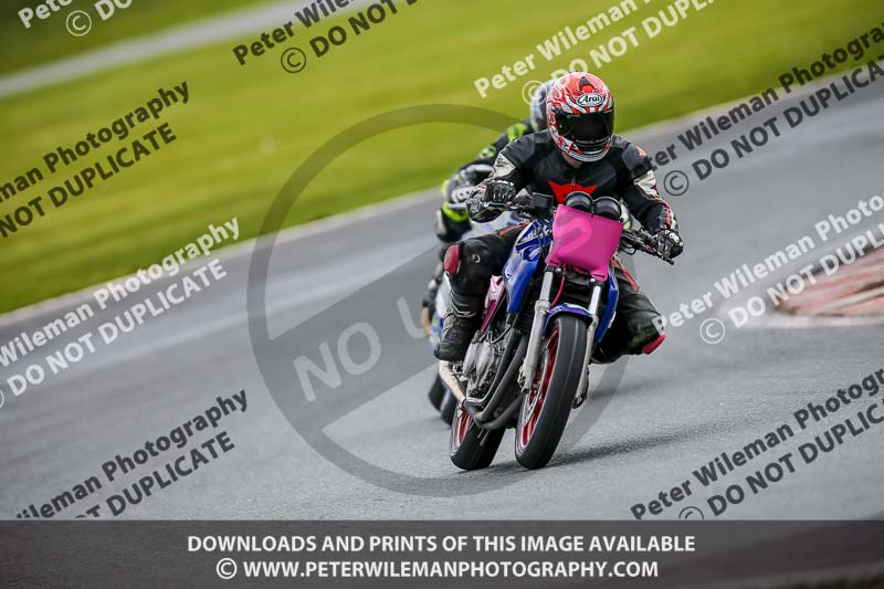 Oulton Park 14th March 2020;PJ Motorsport Photography 2020;anglesey;brands hatch;cadwell park;croft;donington park;enduro digital images;event digital images;eventdigitalimages;mallory;no limits;oulton park;peter wileman photography;racing digital images;silverstone;snetterton;trackday digital images;trackday photos;vmcc banbury run;welsh 2 day enduro